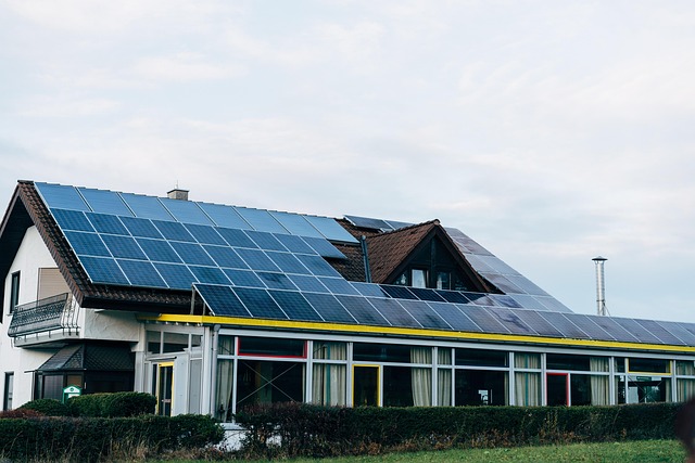 Sustainable Graphic Design: Tech-Driven Approaches