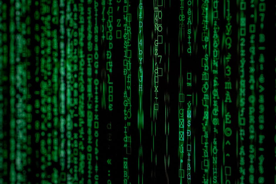Top 7 Programming Languages Gaining Popularity in 2024