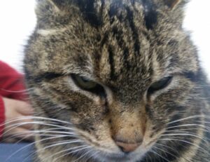 how does endbugflow software work