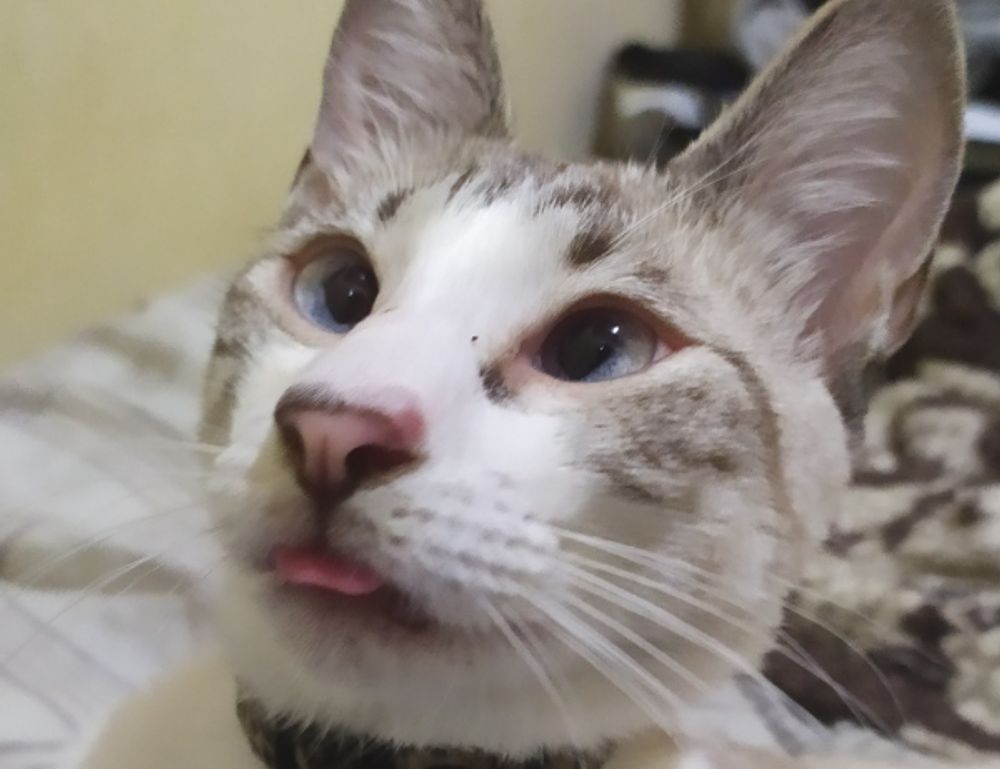 should i use endbugflow software for making music