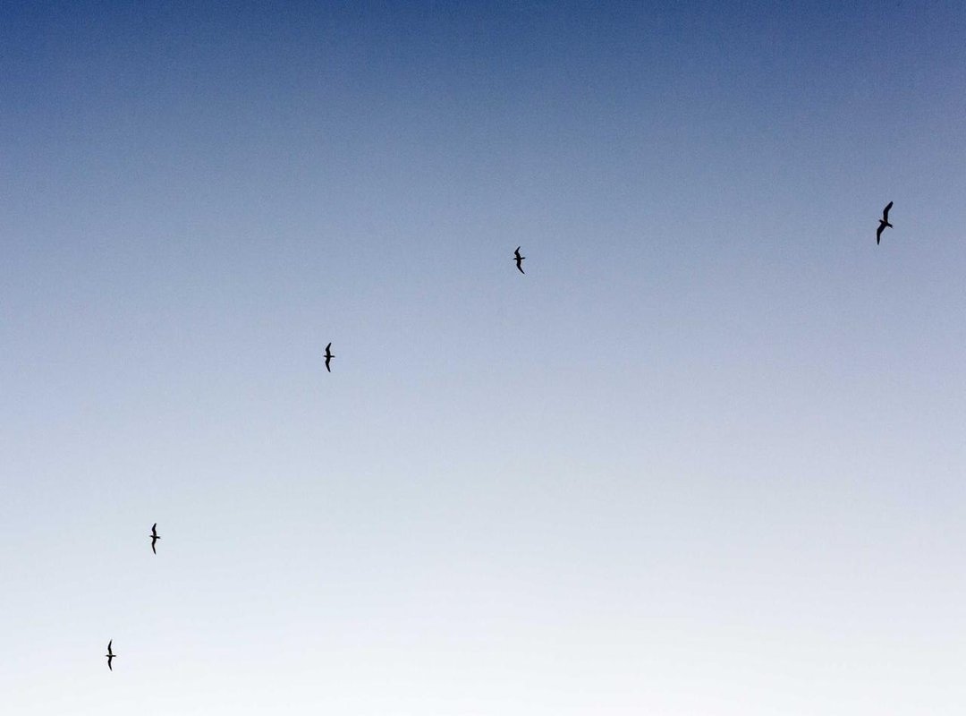 Where to Exchange Currency: A Comparison of Your Best Options