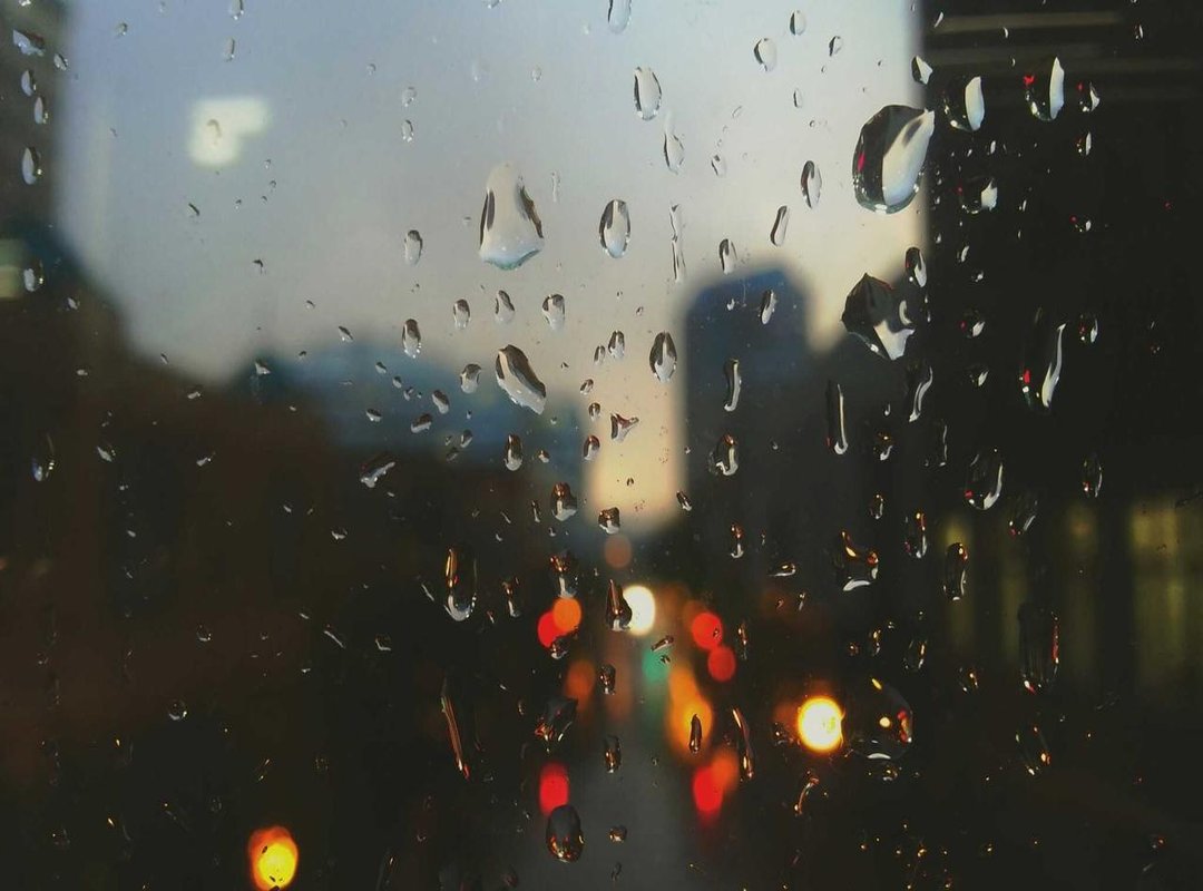 Analyzing the 'Keskustelu': Why Her Health Became a Major Topic