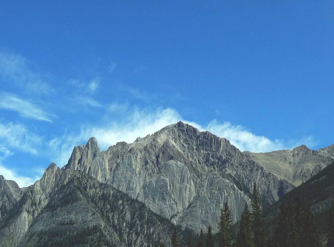 Answer Analysis: Part 2 (Questions 11-20)