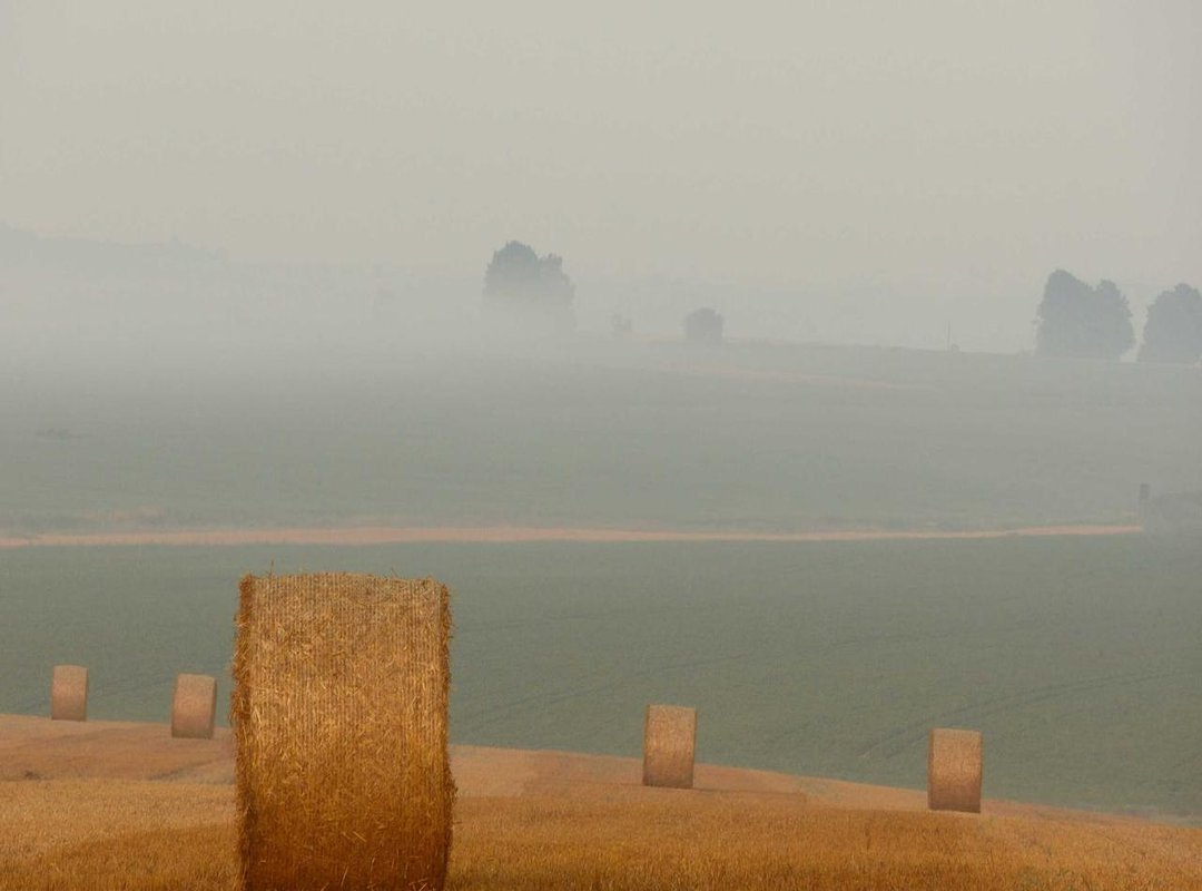 The Perfect Dough: A Step-by-Step Guide