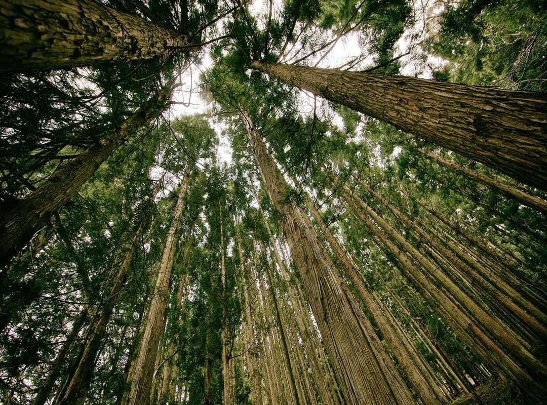 A Deeper Look: The Debate Over Modern Modest Fashion