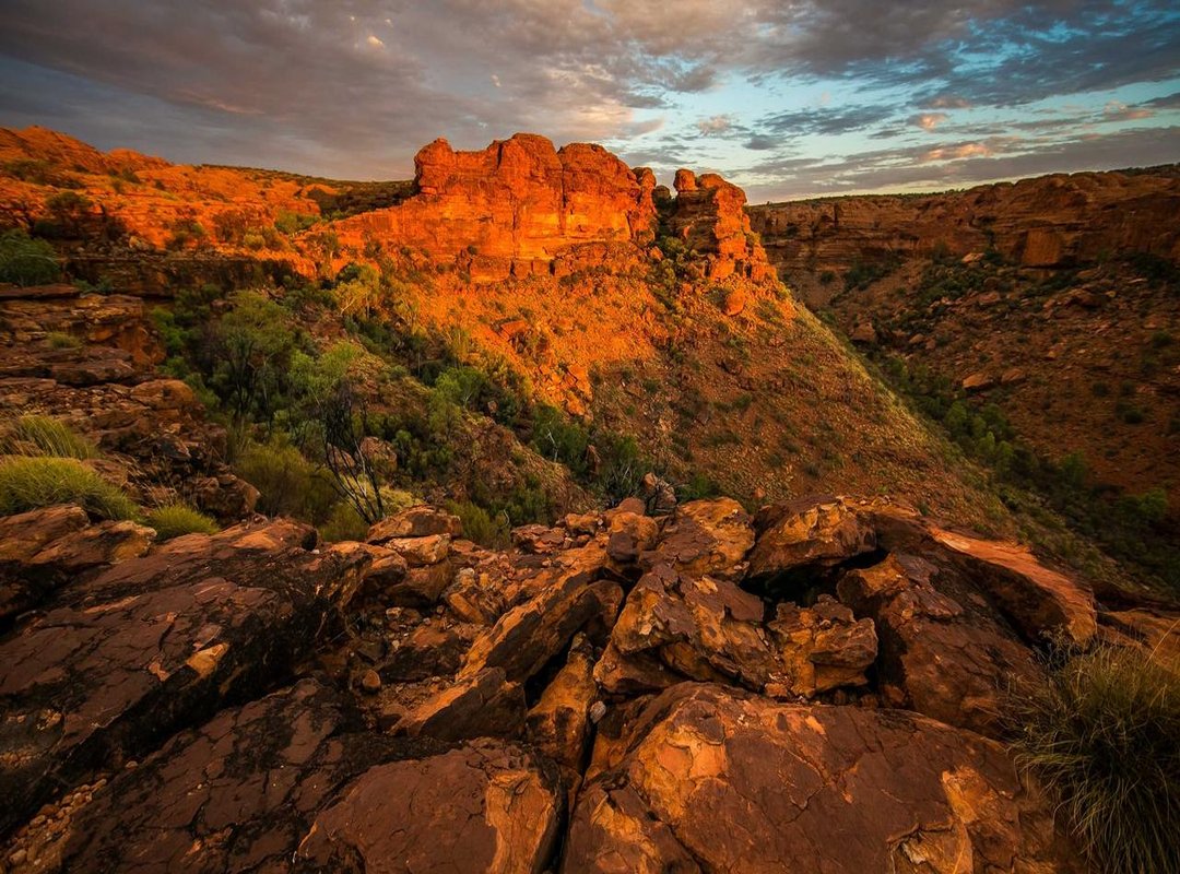 The Athlete's Buying Guide: What to Look for in a Performance Bikini