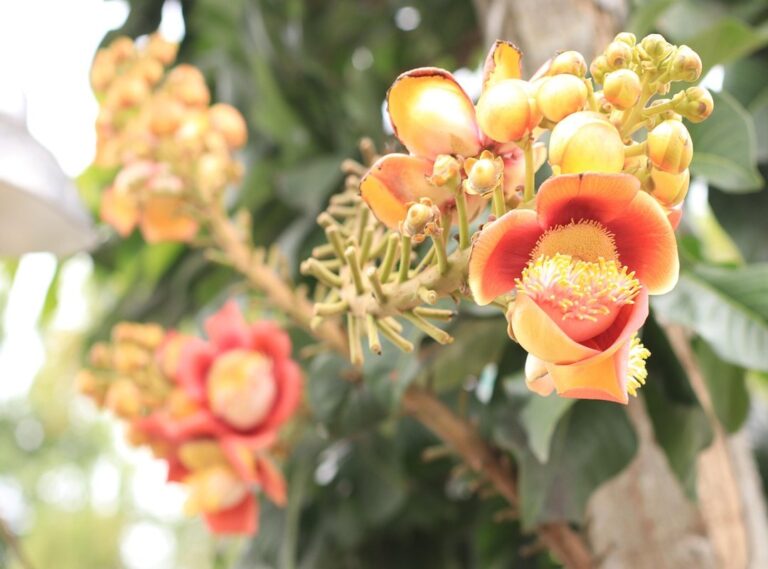 pangangalaga sa kalikasan easy drawing