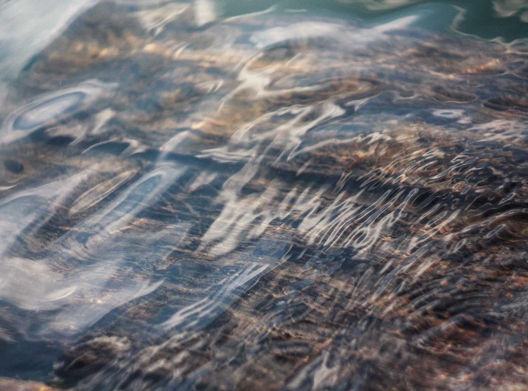 How to Draw Your First Pixel Art Character: A Step-by-Step Tutorial