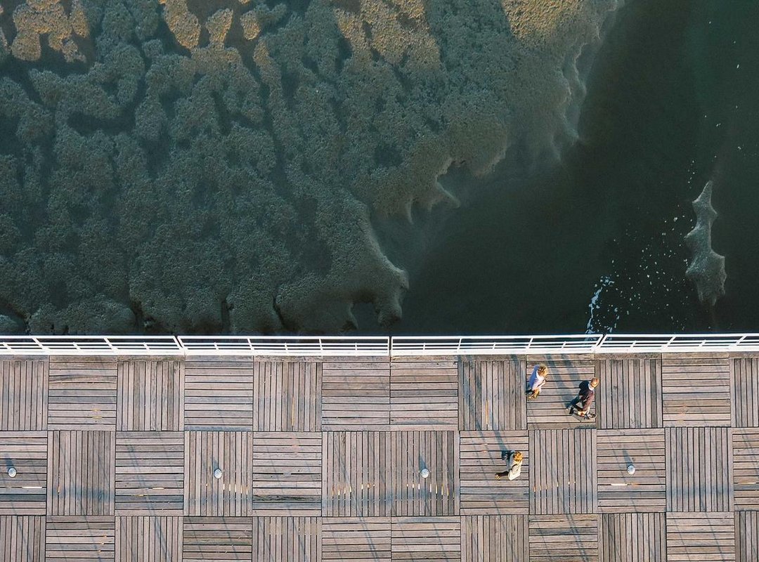 Step-by-Step Tutorial: How to Draw a Perfect Preppy Bow