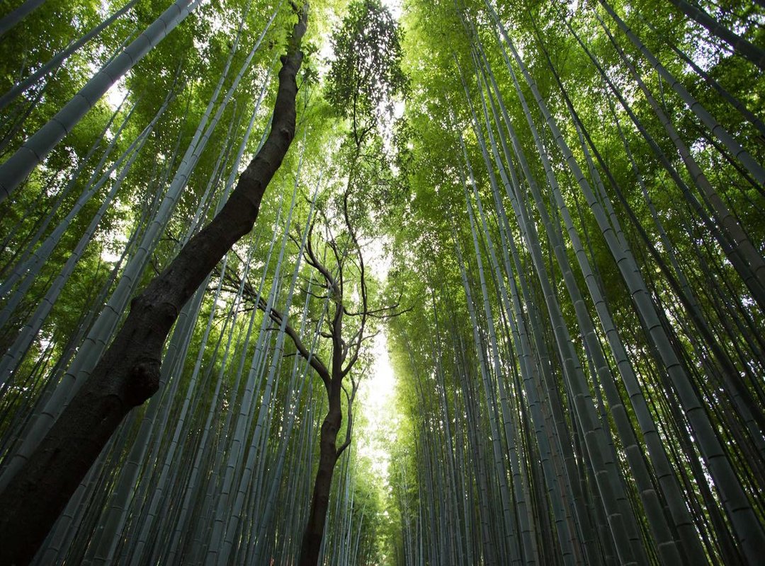 Your Account Hub: Managing Devices, Payments, and Channels