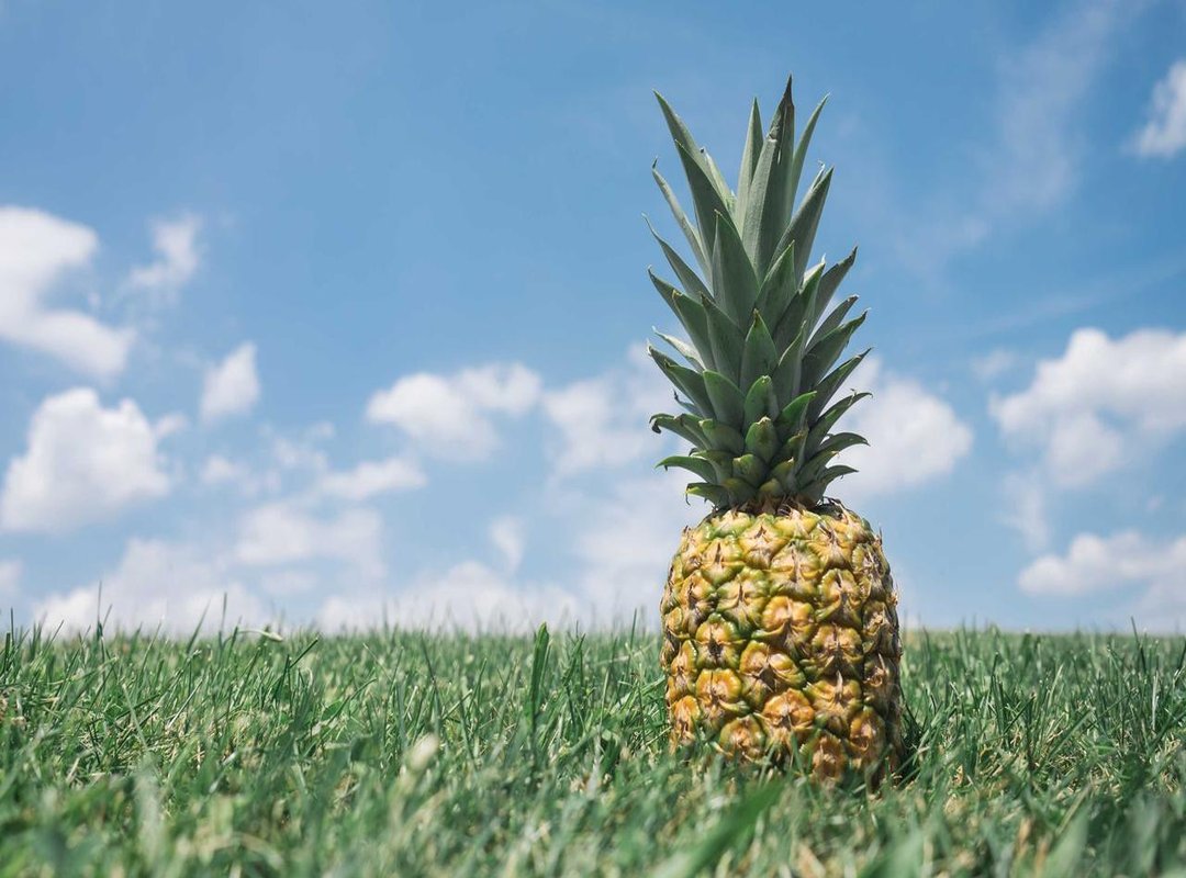 Getting Started: Your First 5 Minutes on Pronknow