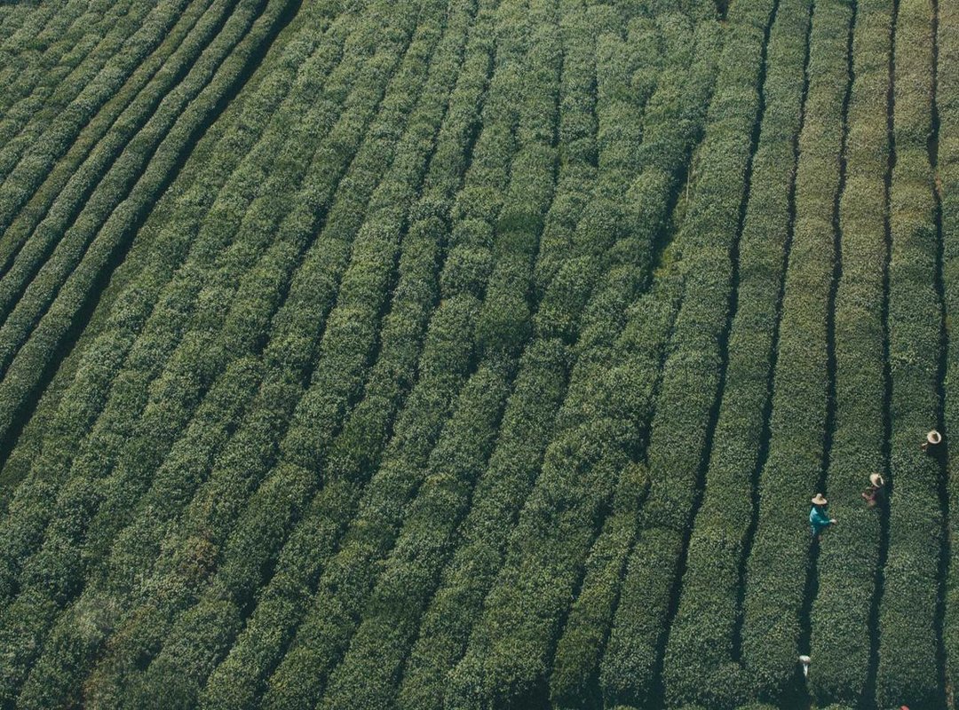 Troubleshooting Common Errors: 'Code Invalid' or 'Redemption Failed'