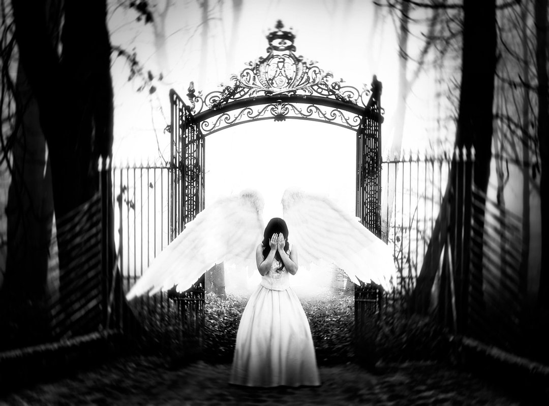 The Legal and Ethical Questions Raised by the Leak