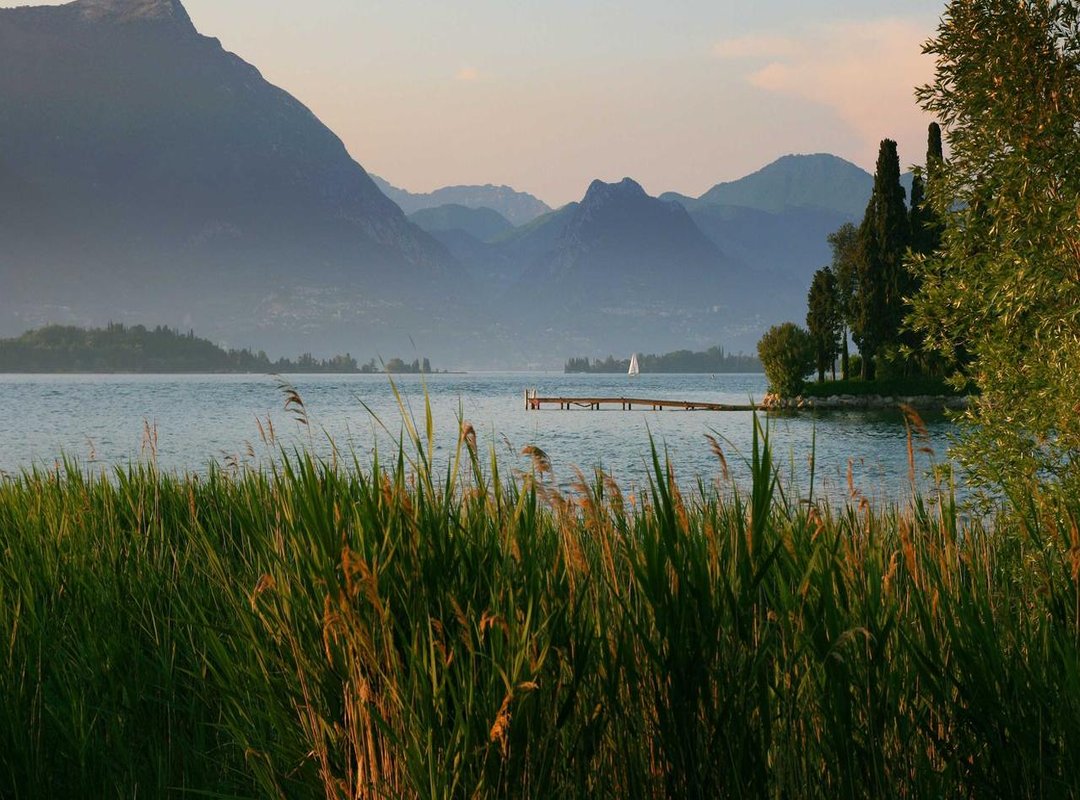 What to Expect After You Join: Rules and Content